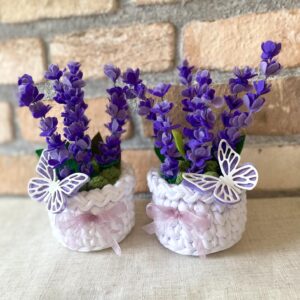 Mini cserepes levendula